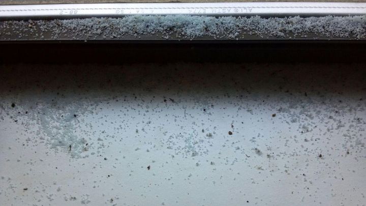 what is this mysterious blue powder that keeps collecting on the inside of our window