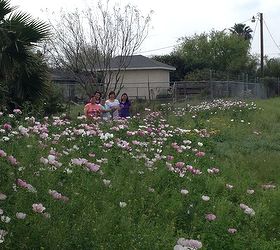 wild flowers, flowers, gardening, My Mom and Sisters admiring the beautiful flowers
