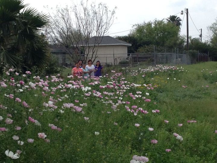 wild flowers, flowers, gardening, My Mom and Sisters admiring the beautiful flowers
