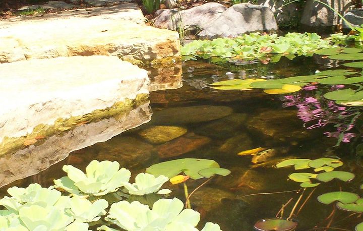 Ponds Inc. of Illinois
Website: www.ponds-inc.com
Facebook: https://www.facebook.com/PondsInc
Hometalk: http://www.hometalk.com/ponds
Pinterest: http://pinterest.com/pondsinc
Twitter: https://twitter.com/PondsInc4you
Flickr: http://www.flickr.com/photos/pondsincofillinois/
Certified Aquascape Contractor (CAC) in your area: http://www.aquascapeinc.com/findcontractors.php