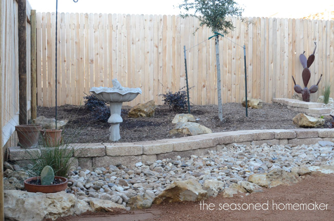 creating a xeriscape backyard landscape, gardening, landscape, Our small backyard landscape is starting to take shape