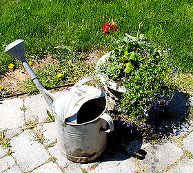 my favorite flower pot combination, flowers, gardening