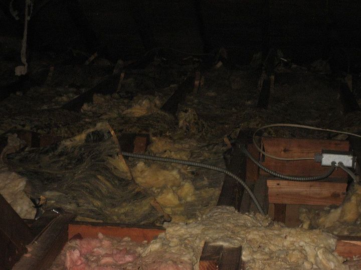 critter damage and repairs, home maintenance repairs, how to, pest control, Simply layers of insulation covered with animal feces throughout all of the 1000 square foot attic we had to clean