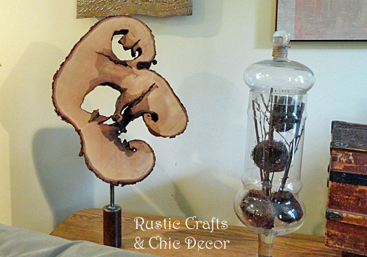 displaying natural art in our home, home decor, woodworking projects, Some that we find are simple circles like a donut and others are more intricate like this one