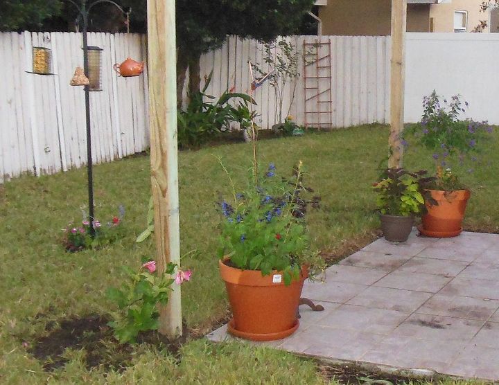 fotos do progresso um trabalho de amor um jardim teraputico para minha me, As Mandevillas cor de rosa devem cobrir as colunas bem r pido vai ficar lindo 09 09 13