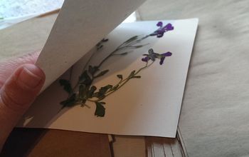 DIY Tutorial: Microwave Flower Pressing