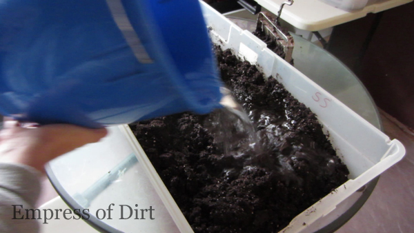 uso de una herramienta de bloqueo de suelo para facilitar el inicio de las semillas, Primero se humedece la mezcla de semillas con agua
