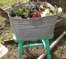 just sharing some pics of my flowers and plants, flowers, gardening, He also gave me this broken chair with just some paint and ready to use