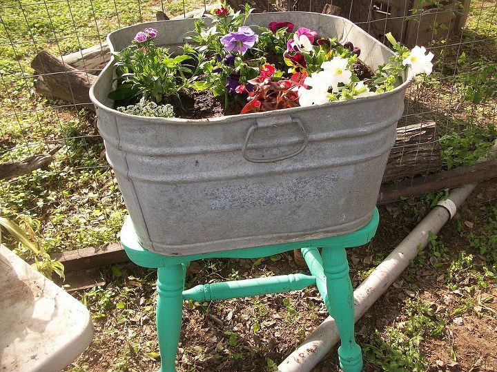 just sharing some pics of my flowers and plants, flowers, gardening, He also gave me this broken chair with just some paint and ready to use