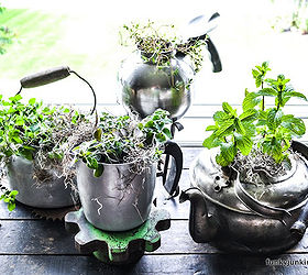 make an old kettle herb garden in seconds, gardening, repurposing upcycling, How pretty do these kettles make for potted plants
