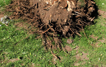 Different Methods to Remove Stumps From Fields and Yards