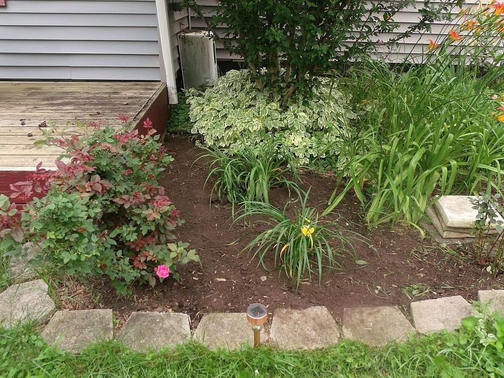 transplanting day lilies, flowers, gardening, My lilies have a new happier home now Yeah I m an amatuer but whatever It s a start My other beds look better lol I m not in the habit of before and after pics and I m a newb so I m making progress