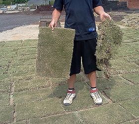 purchasing sod grass like a pro, landscape, outdoor living, Good and bad pieces of sod