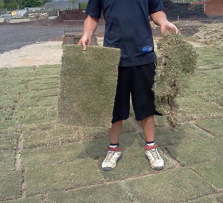 purchasing sod grass like a pro, landscape, outdoor living, Good and bad pieces of sod