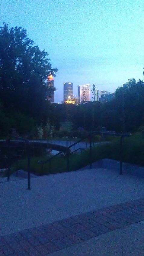 atlanta botanical gardens for date night, gardening, succulents, See the Atlanta Skyline behind the Aquatic Plant Pond There was a bullfrog in there croaking away