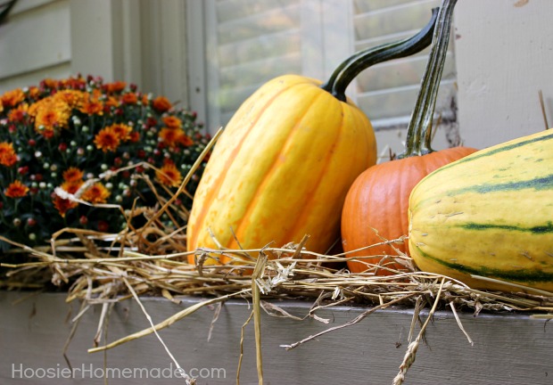 outdoor decorating for fall, porches, seasonal holiday decor, Window Boxes