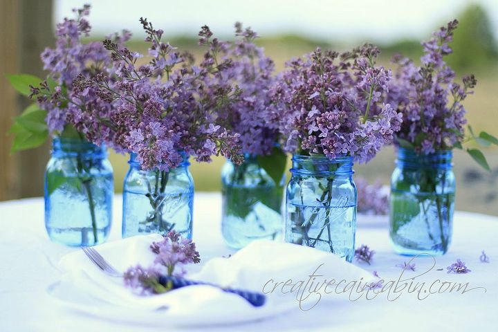 lilac s, gardening, Lilac s in 100 year anniversary ball blue canning jars