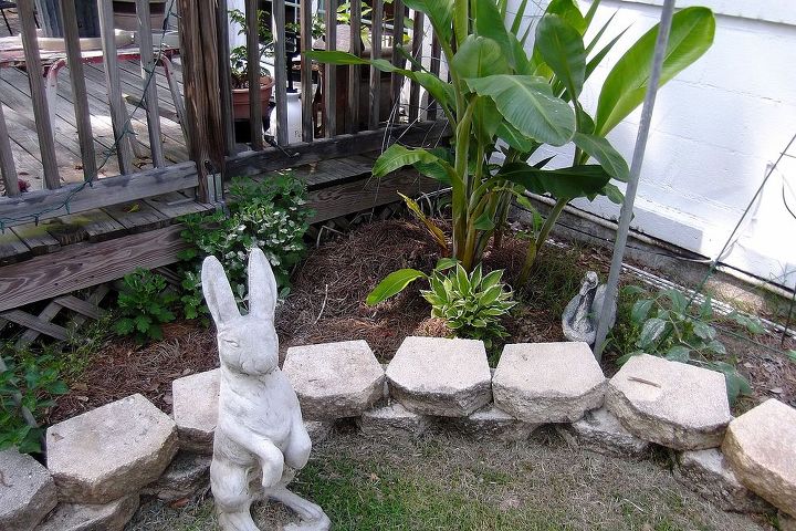 small town big landscaping, gardening, landscape, Mr Bunny on guard
