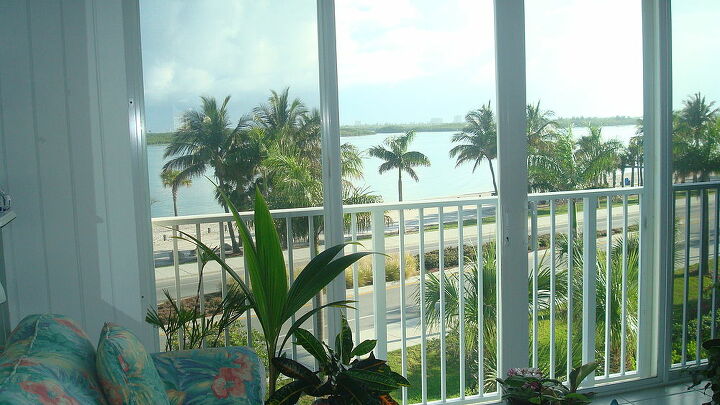 my large garden at my sold house is now reduced to this sunporch, outdoor living, palm tree growing in pot from coconut