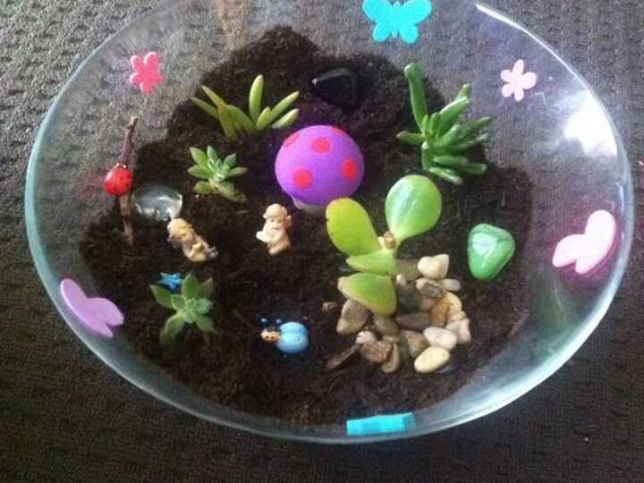 q feedback, crafts, gardening