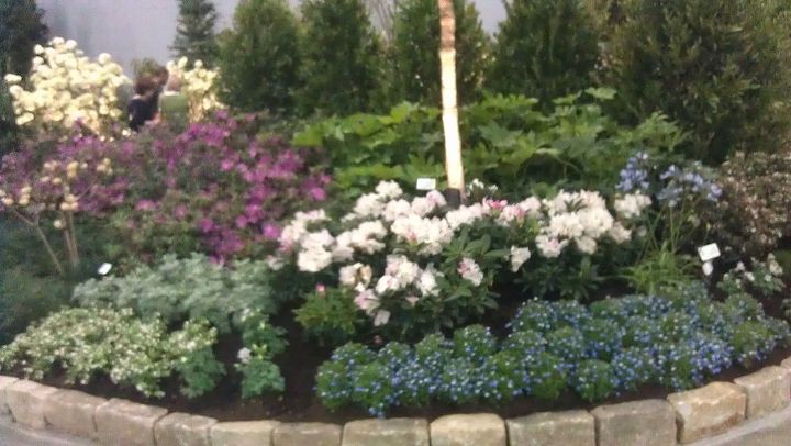 pics from 2013 southeastern flower show in atlanta, flowers, gardening