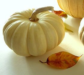saving pumpkin stems, crafts, gardening