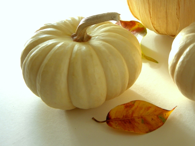 saving pumpkin stems, crafts, gardening