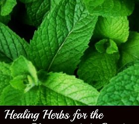 healing herbs you can grow, gardening