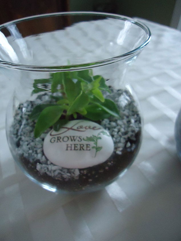 making a terrarium a snow day project, container gardening, crafts, gardening, succulents, terrarium, I like the simplicity of this one