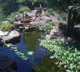 water gardens ponds and water features in oklahoma, landscape, outdoor living, ponds water features, Water Gardens come in all shapes and sizes