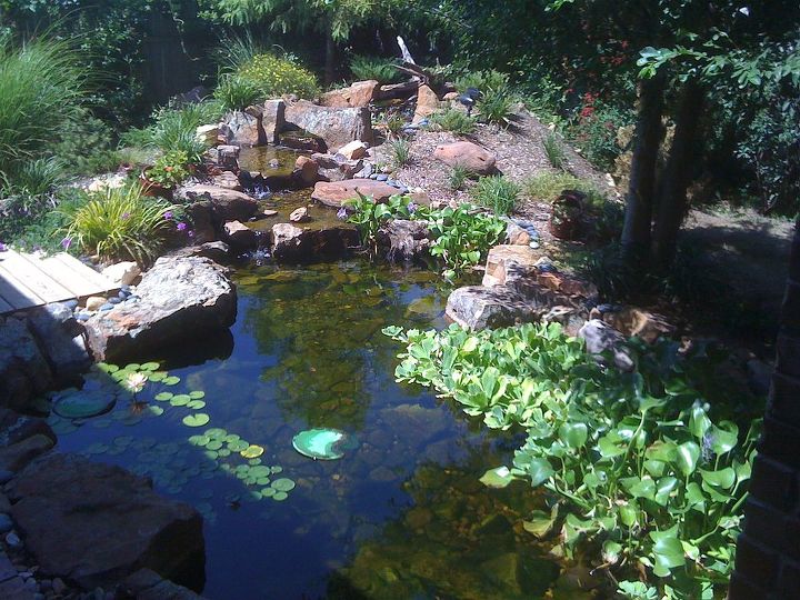 water gardens ponds and water features in oklahoma, landscape, outdoor living, ponds water features, Water Gardens come in all shapes and sizes