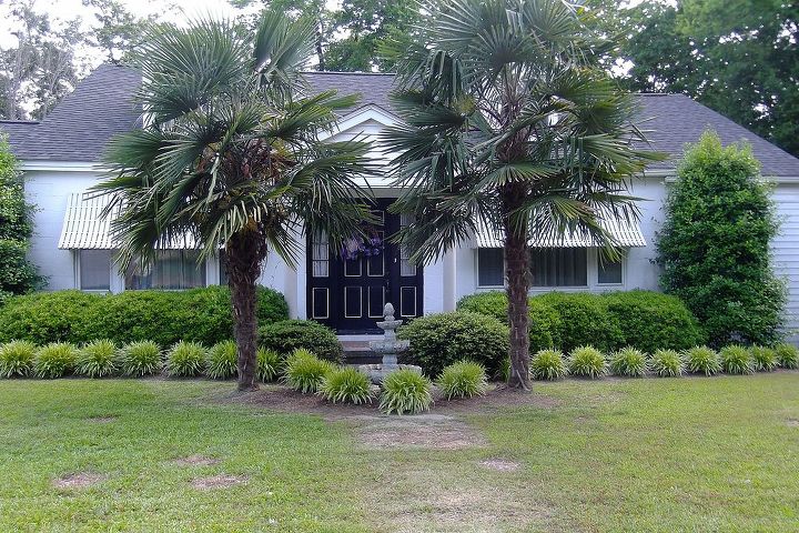 small town big landscaping, gardening, landscape, Love how the monkey grass out lines her front entry with the palm trees
