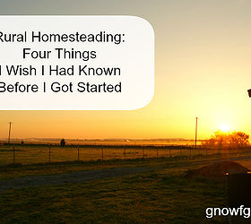 Four Things I Wish I Had Known About Rural Homesteading