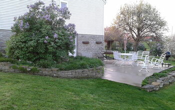 My yard 2012
