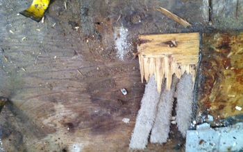 Carpet strips found under plywood subfloor?