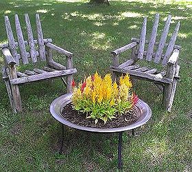 i drilled some holes in an old fire pit and planted celosia to look like, gardening, outdoor living, repurposing upcycling