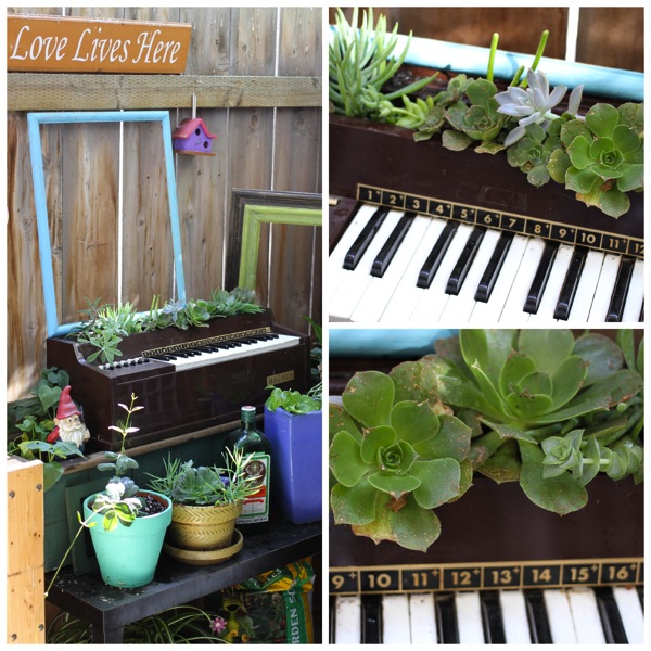 piano turned potter for plants on my patio, flowers, gardening, repurposing upcycling, succulents