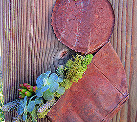 what can you do with a smashed rusty tin can, flowers, gardening, repurposing upcycling, succulents