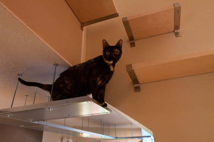 10 awesome ikea hacks, Cat lover Try using IKEA shelves to create a wall and ceiling walkway for your furry felines