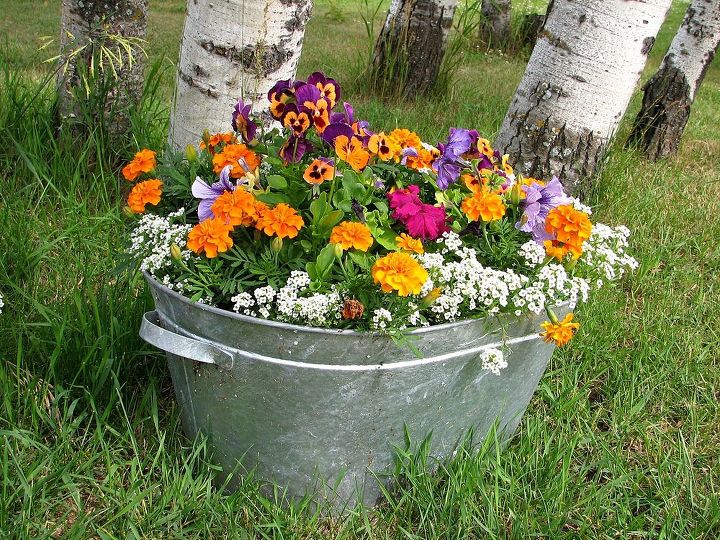 gardening tips and tricks for the busy gardener, gardening, Pretty summer planter