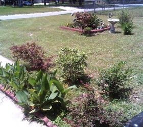 crappy grass sure looks better when cut it needs help, gardening, Just added a Little Gem Magnolia and hubby added some granite rocks we had hidden between our fence lol F I N I S H E D Now to sit back and wait for what is to come D