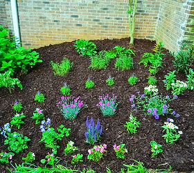 landscaping the yard, gardening, landscape, May