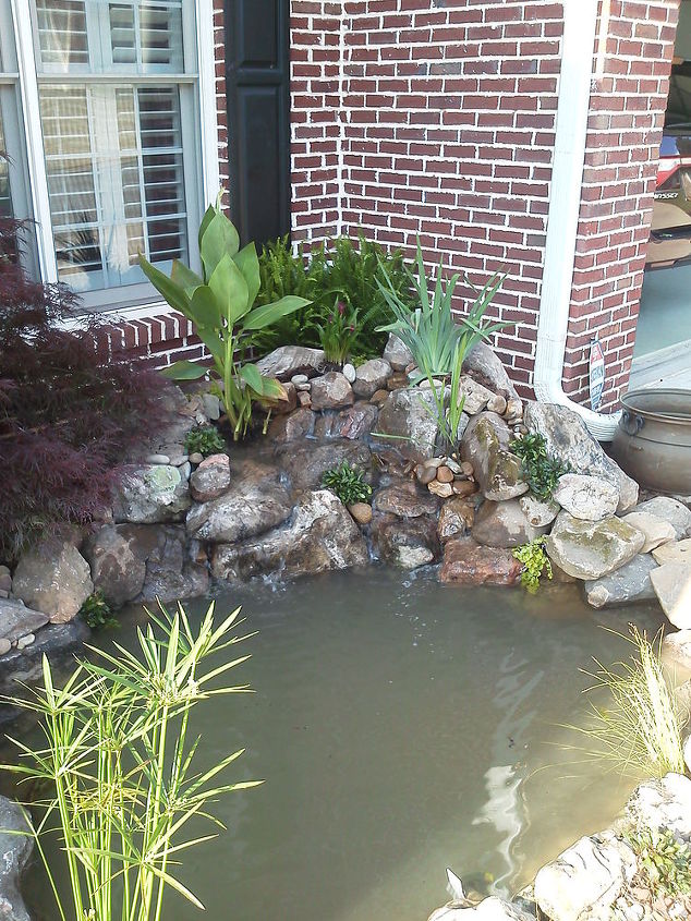 pond at front of the house was a small space but it turned out well, outdoor living, ponds water features