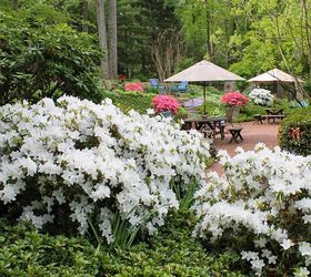 spring garden tour, flowers, gardening, perennials, raised garden beds, succulents