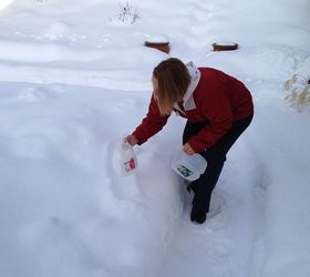 what to do with all this snow water your plants with it, container gardening, gardening, Put on you coat and shoes and have some fun scooping up snow in your containers