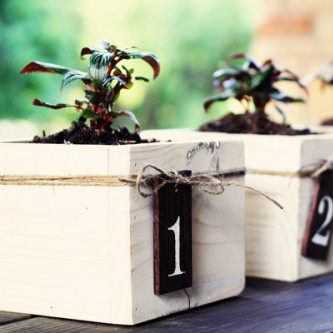 diy mini planterboxes as a centerpiece, gardening, outdoor living, Planter box centerpiece