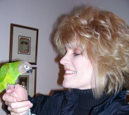 Mobile Home Floor Rotten Hometalk