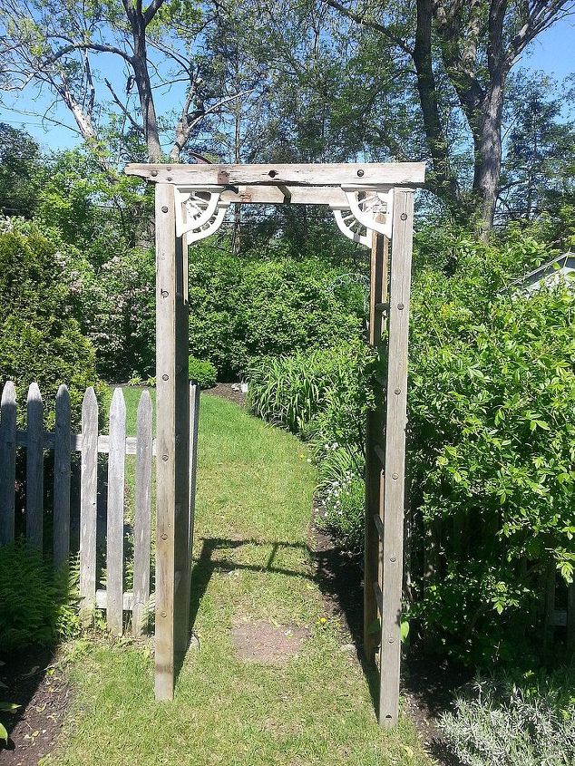 re purposed ladder becomes trellis, This is the trellis Process follows