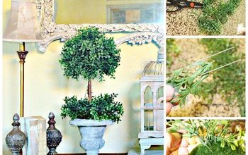 How to Make a Boxwood Topiary