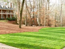 pristine turfs and clean pine beds, gardening, landscape, lawn care, One of our maintenance customers pristine turf and clean pine beds